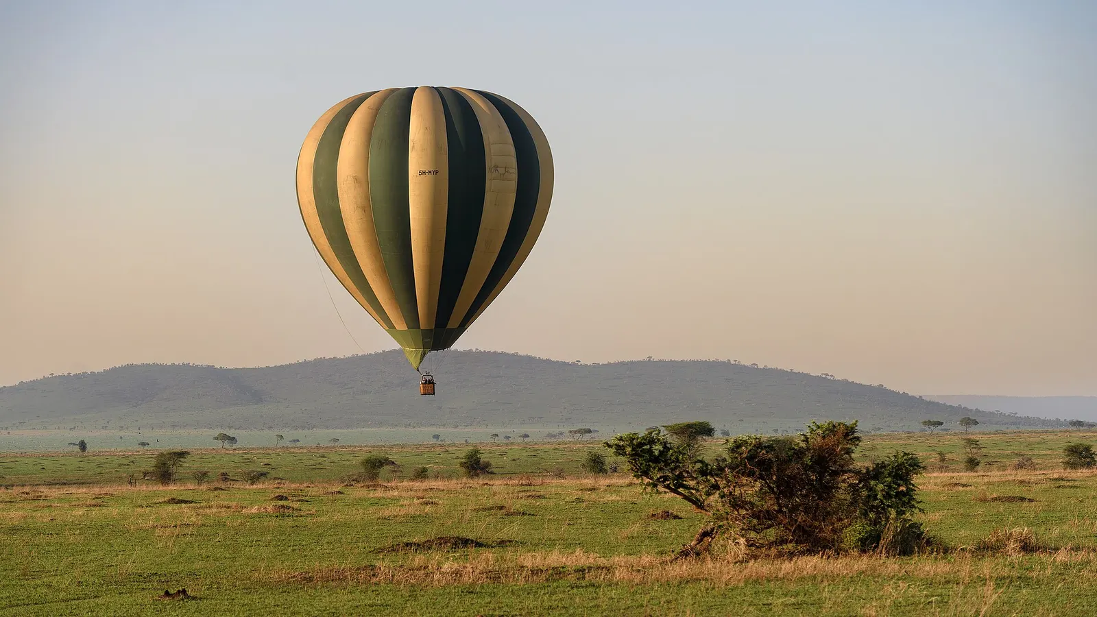 Hot air balloon safari drifting over the Serengeti after sunrise