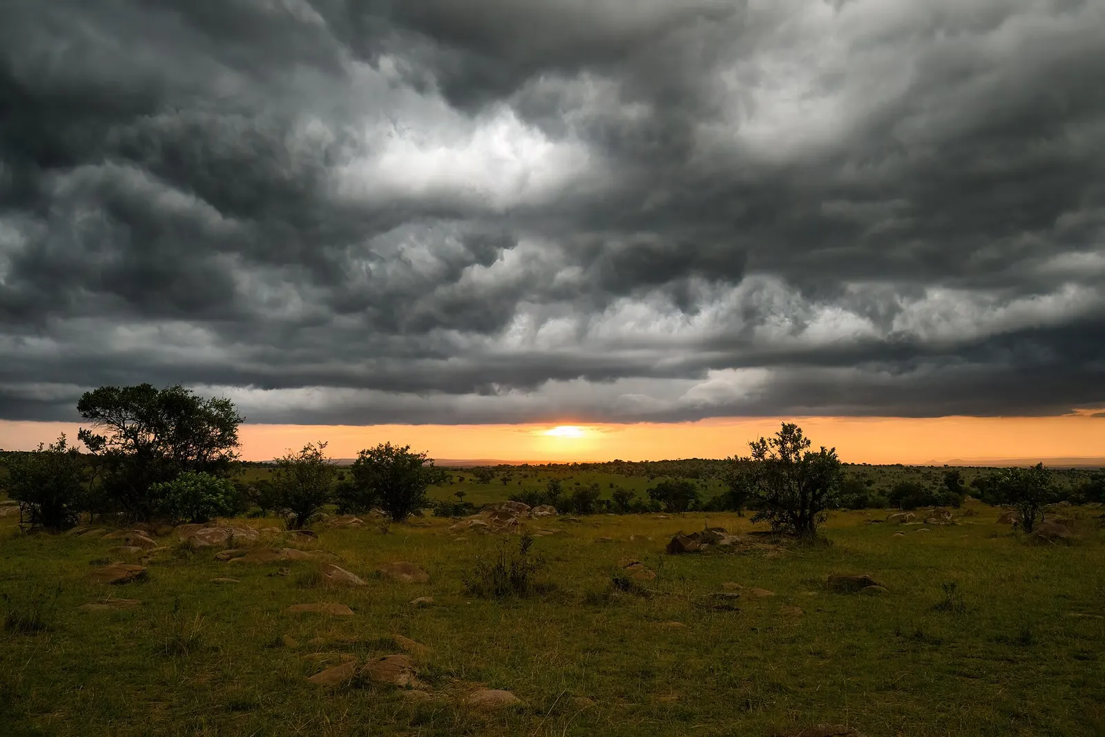 Dramatic storm clouds over green Serengeti plains at sunset