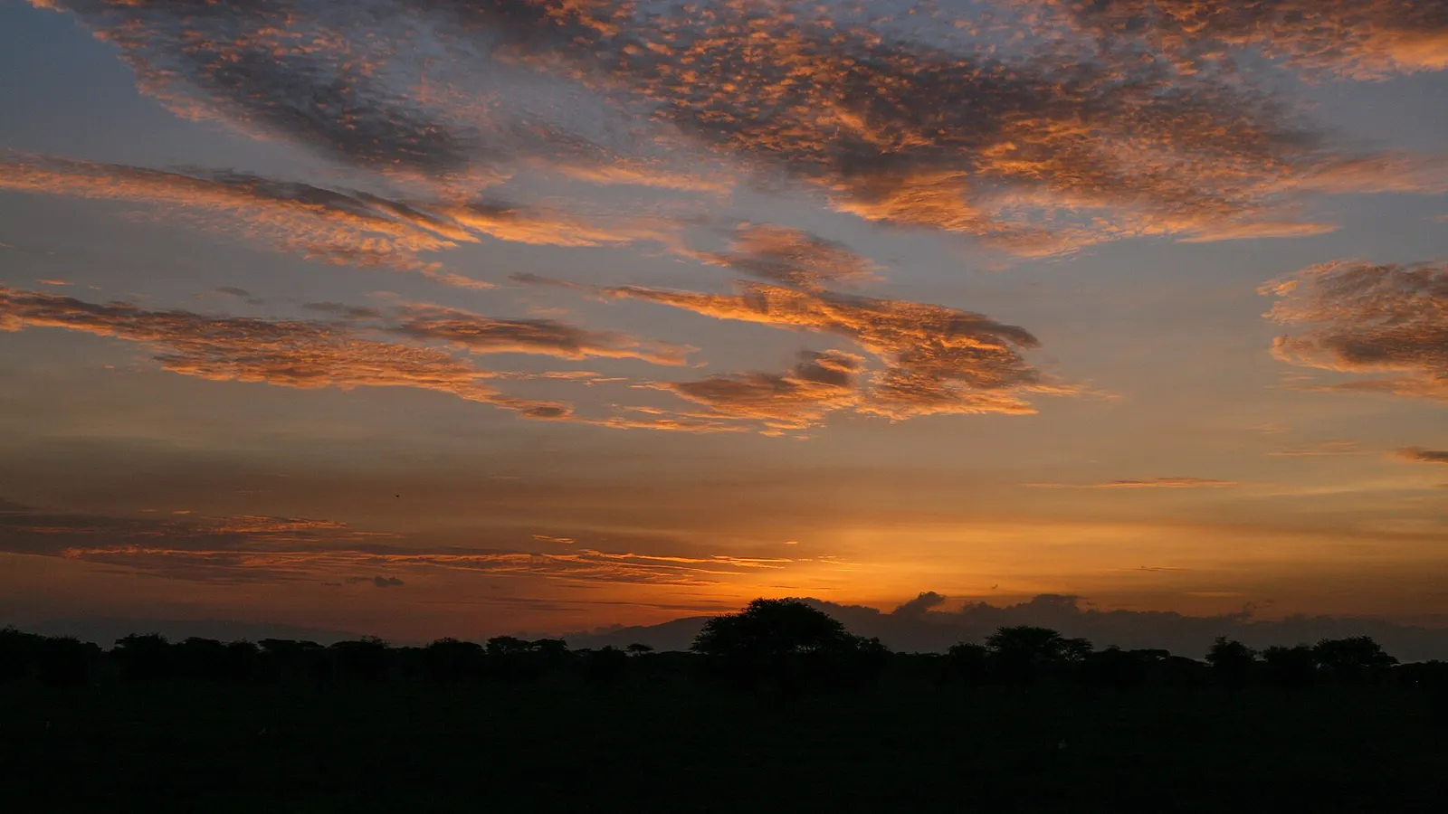 Fiery sunrise over the plains near Ndutu